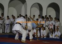 karate (90) (Αντιγραφή)